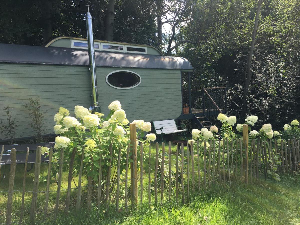 Historischer Zirkuswagen Inmitten Der Natur Fischach エクステリア 写真